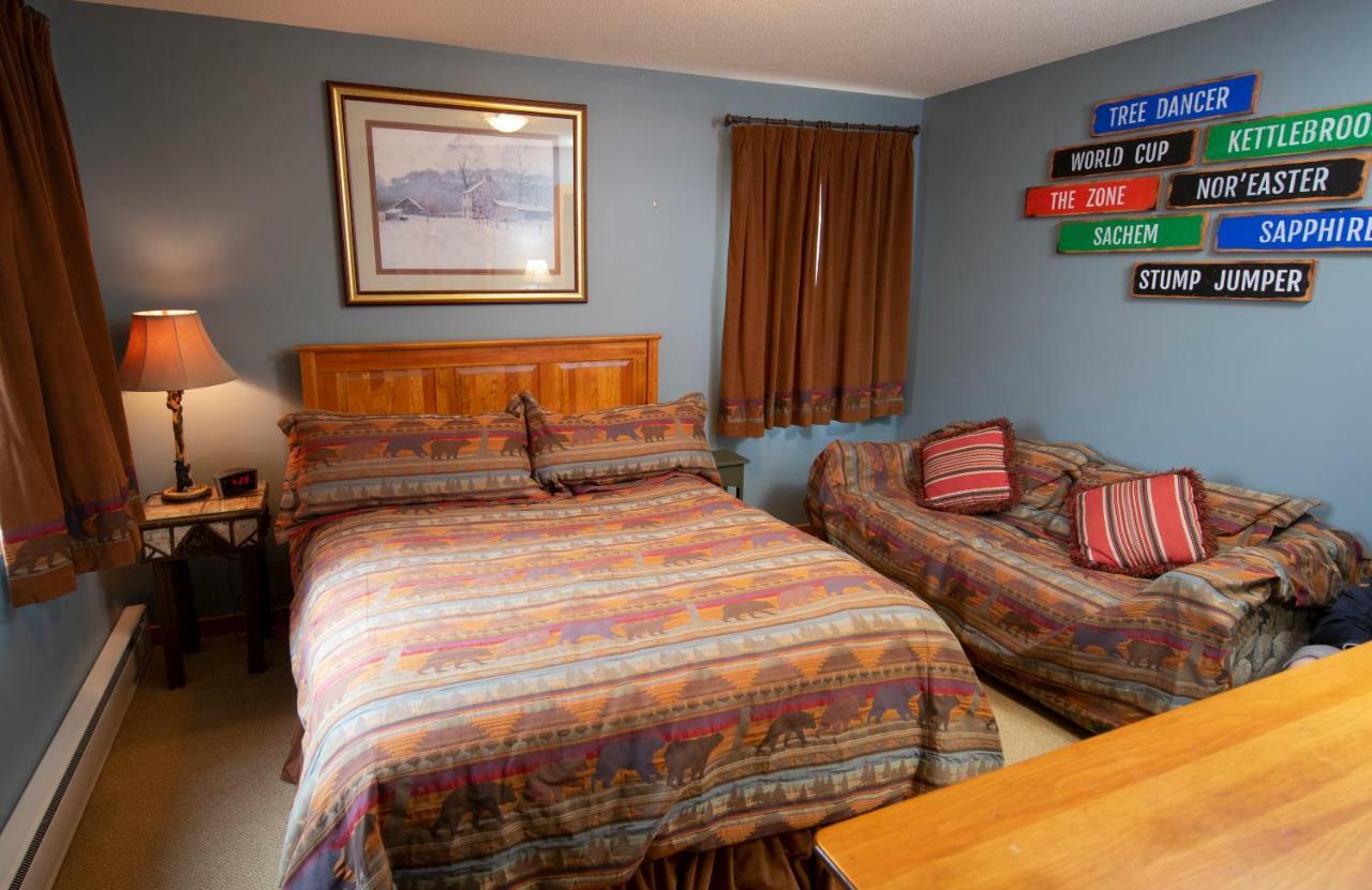 Okemo Mountain Lodging Ludlow Buitenkant foto
